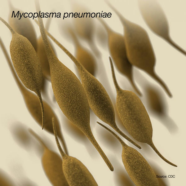 01_Mycoplasma pneumoniae肺炎支原體.jpg