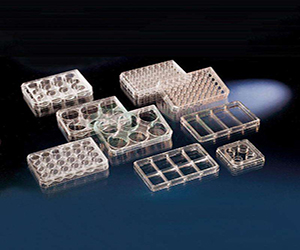 Thermo Nunc 6孔板 細(xì)胞培養(yǎng)板140675 平底 已滅菌 進口