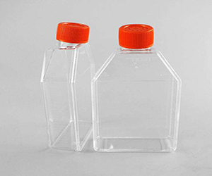 細(xì)胞培養(yǎng)瓶，T-25