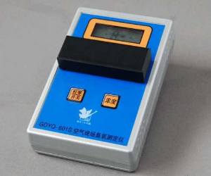空氣現(xiàn)場(chǎng)臭氧測(cè)定儀GDYK-601S