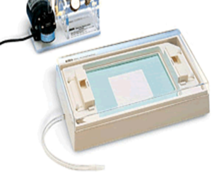 伯樂785型真空轉(zhuǎn)印儀