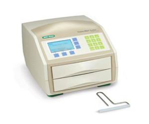 美國Bio-rad伯樂蛋白轉(zhuǎn)印系統(tǒng)