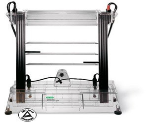 美國(guó)Bio-rad伯樂Sequi-Gen GT測(cè)序電泳槽