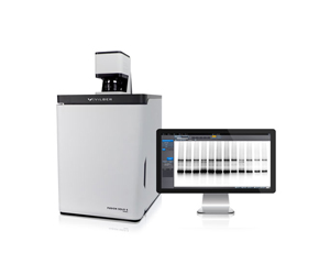 德國(guó)Biostep凝膠成像分析系統(tǒng)