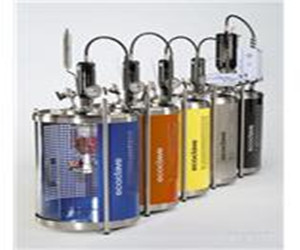 ecoclave經(jīng)濟型壓力反應釜