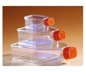 細(xì)胞培養(yǎng)瓶(通氣蓋)