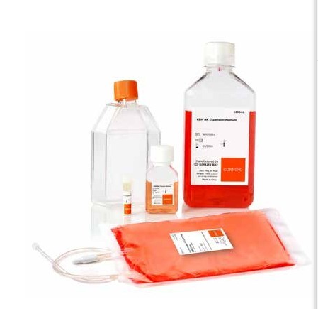 美國(guó)Corning康寧細(xì)胞培養(yǎng)瓶