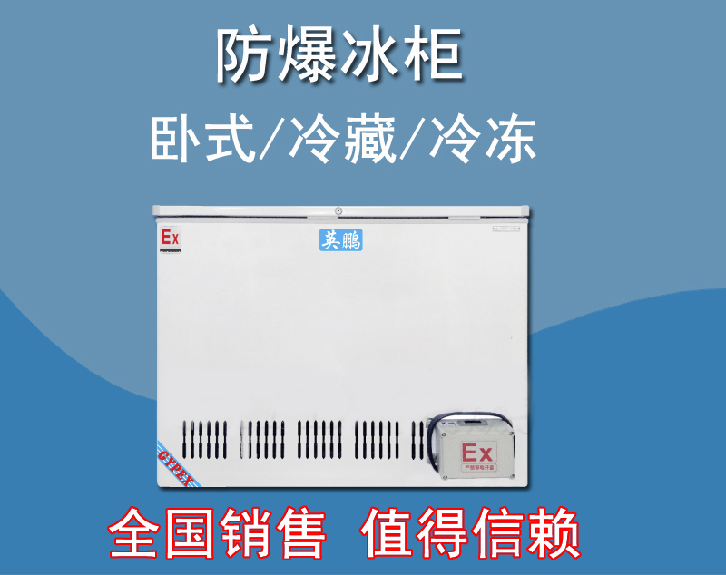 英鵬防爆臥式冰箱，存放油漆防爆冰箱BL-200