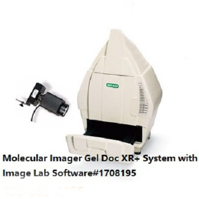 全自動(dòng)凝膠成像儀