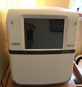 美國伯樂ChemiDoc? Touch化學發(fā)光成像系統(tǒng)