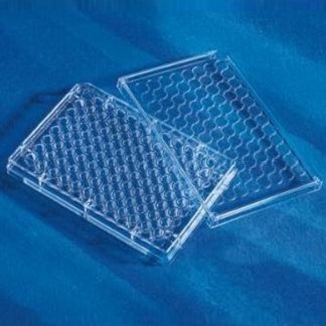 96孔圓底培養(yǎng)板