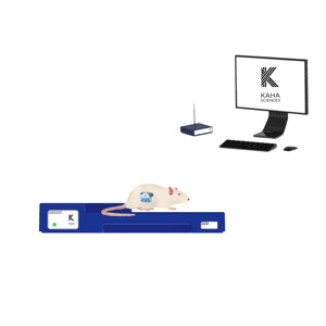 大小鼠心電、血壓、血氧遙測(cè)系統(tǒng)