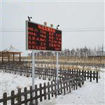 景區(qū)負氧離子監(jiān)測儀器