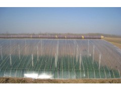 供應(yīng)昌龍興農(nóng)膜，地膜，纏繞膜，大棚膜，農(nóng)用地膜