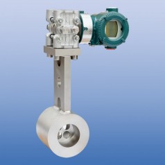 FISCHER PORTER 多孔平衡流量計(jì)系列