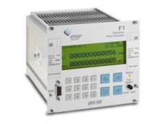 德國elster流量計算機gas-net F1
