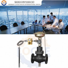 進(jìn)口自力式流量溫度組合閥性能參數(shù),報(bào)價(jià)/價(jià)格,圖片