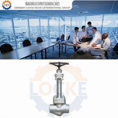 進口液氮截止閥性能參數(shù),報價/價格,圖片