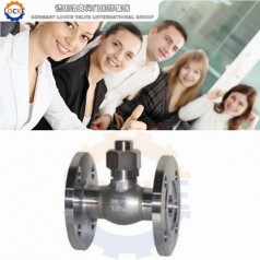 進口低溫法蘭止回閥性能參數(shù),報價/價格,圖片