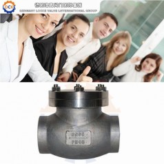 進口低溫不銹鋼止回閥性能參數(shù),報價/價格,圖片