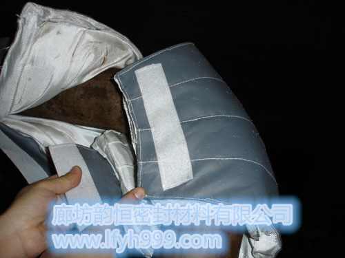 電廠保溫（汽輪機(jī)保溫套（火電、核電）、管道保溫套、閥門保溫套） (3)