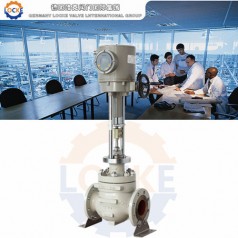 進口電動單座籠式調節(jié)閥性能參數,報價/價格,圖片