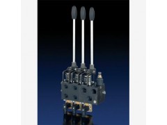 HAWE哈威DL型多路換向閥低價(jià)正品現(xiàn)貨供應(yīng) DL型