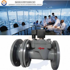 進(jìn)口帶止回電磁閥性能參數(shù),報(bào)價/價格,圖片