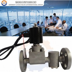 進(jìn)口帶過濾網(wǎng)電磁閥性能參數(shù),報(bào)價/價格,圖片