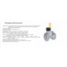 進(jìn)口低壓緊急切斷電磁閥（通電關(guān)閉、手動打開）