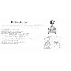 進(jìn)口制冷劑電磁閥-液氮、冷卻設(shè)備電磁閥