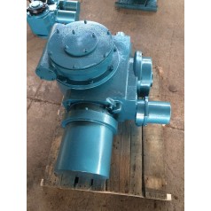 玉林推力型電動(dòng)執(zhí)行器DZW60T-24W