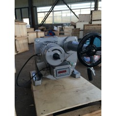 電子式角行程SKJ-610M電動裝置