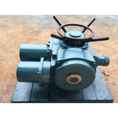 DZW10-24-A00-DS1電動裝置