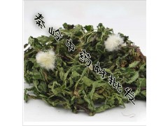 中藥材批發(fā)野生蒲公英蒲公英茶清熱消炎祛痘保肝品質(zhì)保證量大從優(yōu)