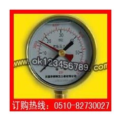 雙指針記憶壓力表系列-耐震壓力表|真空壓力表|不銹鋼壓力表
