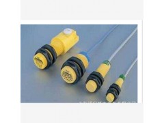 德國(guó)TURCK接近開(kāi)關(guān) BI10R-Q14-AN6X2