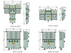 上海寶臨BXM(D)53系列防爆照明動(dòng)力配電箱(IIB、IIC)