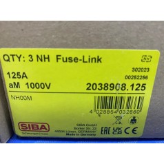 德國(guó)進(jìn)口SIBA熔斷器2038908.125