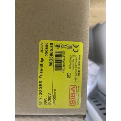 德國(guó)進(jìn)口SIBA熔斷器9005805.80