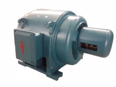 JR系列繞線轉(zhuǎn)子三相異步電動機(jī)