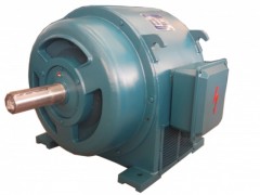 JS系列鑄鋁轉(zhuǎn)子三相異步電動機(jī)