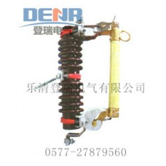 供應(yīng)RW11-10/100,RW11-10/100原裝正品