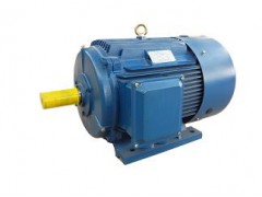 Y2系列三相異步電動機(jī)