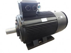 SDM-ZS系列制砂機(jī)專用三相異步電動機(jī)