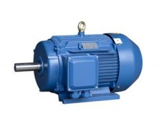 YE2、YE3（80～355）系列高效三相異步電動機(jī)