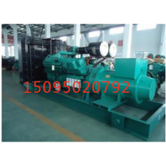 嘉谷關(guān)出租發(fā)電機(jī)，價格低服務(wù)優(yōu)