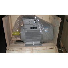 1LE0003系列2 能效IE3鑄鐵電機(jī)