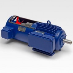 BIRKENBEU特殊設(shè)計的三相標(biāo)準(zhǔn)電動機(jī)