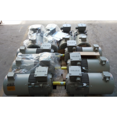 1LE0303系列2 能效IE3鋁殼電機(jī)